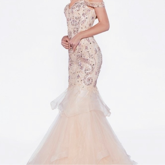 Stunning Cinderella Divine Formal Gown - Picture 3 of 8